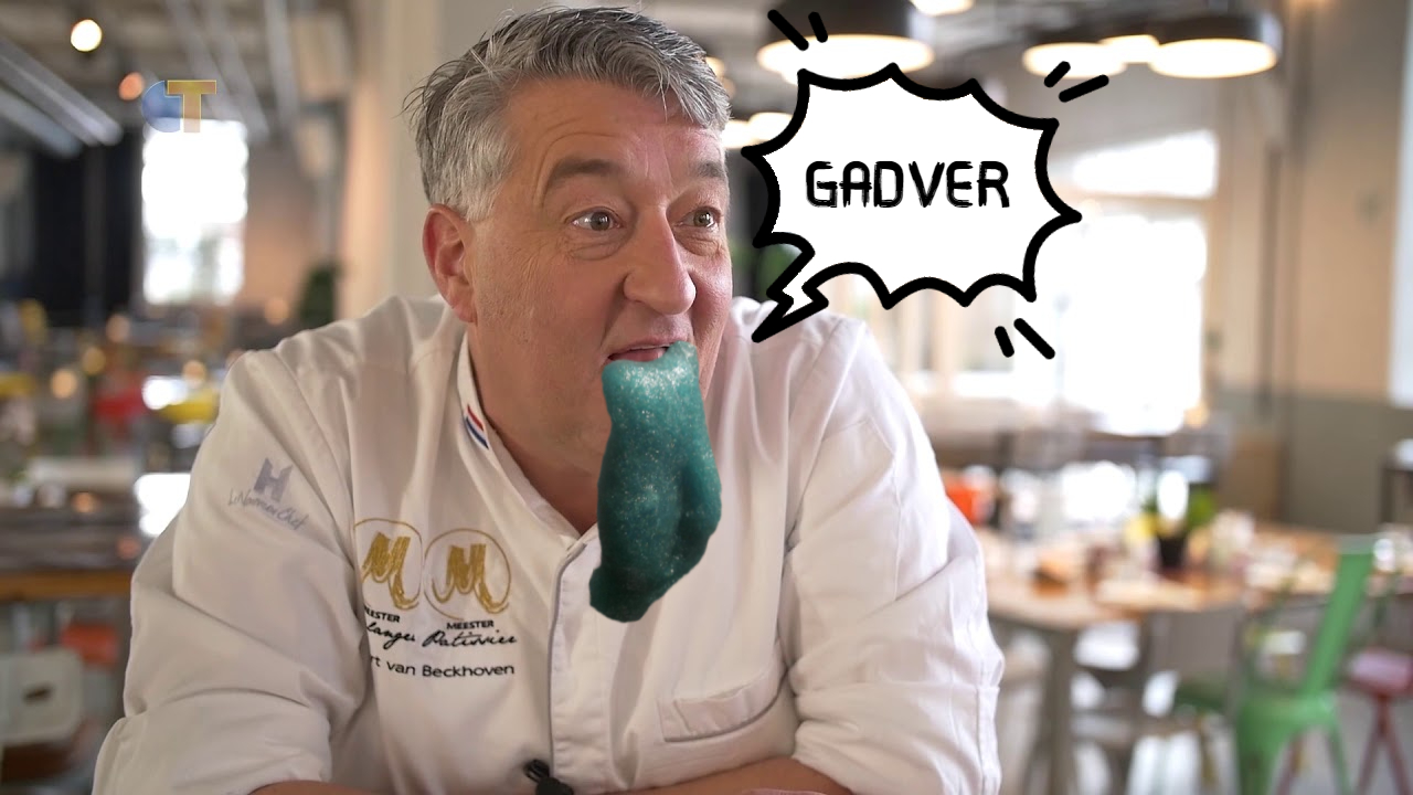 kotsende robert