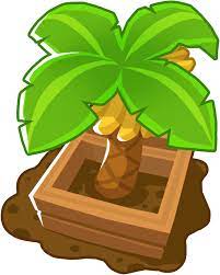 bananenboom